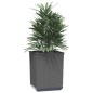 vidaXL Jardineras 2 uds polipropileno negro 30x30x37 cm vidaXL Jardineras 2 uds polipropileno negro 30x30x37 cm