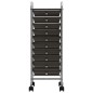 vidaXL Carrito de almacenaje portátil 10 cajones plástico negro