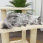 vidaXL Rascador para gatos con postes de sisal crema 50,5 cm