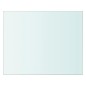 vidaXL Panel de estante vidrio claro 20x25 cm