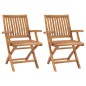 vidaXL Sillas de jardín plegables 2 unidades madera maciza de teca vidaXL Sillas de jardín plegables 2 unidades madera maciza de teca