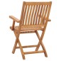 vidaXL Sillas de jardín plegables 2 unidades madera maciza de teca vidaXL Sillas de jardín plegables 2 unidades madera maciza de teca