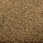 vidaXL Felpudo lavable marrón 60x90 cm vidaXL Felpudo lavable marrón 60x90 cm