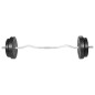 vidaXL Barra curl con pesas 30 kg vidaXL Barra curl con pesas 30 kg