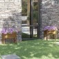 vidaXL Jardineras 2 uds madera maciza de pino marrón miel 70x31x70 cm