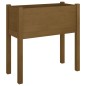 vidaXL Jardineras 2 uds madera maciza de pino marrón miel 70x31x70 cm