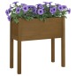 vidaXL Jardineras 2 uds madera maciza de pino marrón miel 70x31x70 cm