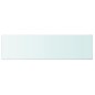 vidaXL Panel de estante vidrio claro 110x30 cm