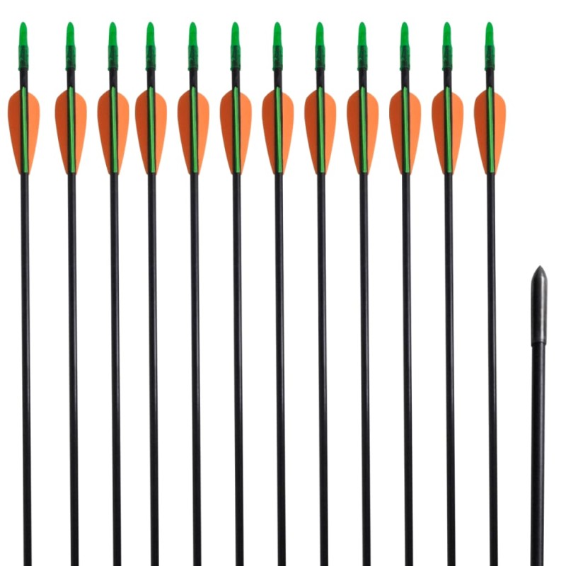vidaXL Flechas de arco recurvo estándar de fibra de vidrio 12 unidades vidaXL Flechas de arco recurvo estándar de fibra de vidrio 12 unidades