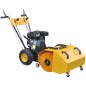 vidaXL Máquina quitanieves/barredora gasolina 6,5HP vidaXL Máquina quitanieves/barredora gasolina 6,5HP