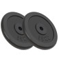 vidaXL Discos de pesas de hierro fundido 2 uds 2x15 kg vidaXL Discos de pesas de hierro fundido 2 uds 2x15 kg