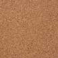vidaXL Rollo de corcho 100x200 cm 5 mm vidaXL Rollo de corcho 100x200 cm 5 mm