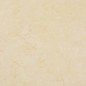 vidaXL Lamas para suelo de PVC autoadhesivas beige 5,11 m² vidaXL Lamas para suelo de PVC autoadhesivas beige 5,11 m²