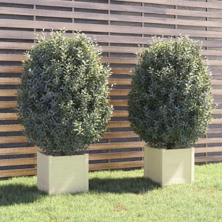vidaXL Jardineras 2 uds madera maciza de pino blanco 40x40x40 cm