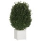 vidaXL Jardineras 2 uds madera maciza de pino blanco 40x40x40 cm vidaXL Jardineras 2 uds madera maciza de pino blanco 40x40x40 cm