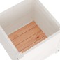 vidaXL Jardineras 2 uds madera maciza de pino blanco 40x40x40 cm vidaXL Jardineras 2 uds madera maciza de pino blanco 40x40x40 cm