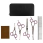 vidaXL Set de tijeras de peluquería canina 5 piezas acero inoxidable vidaXL Set de tijeras de peluquería canina 5 piezas acero inoxidable