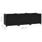 vidaXL Arriate 120x40x38 cm polipropileno vidaXL Arriate 120x40x38 cm polipropileno