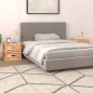 vidaXL Mesitas de noche 2 uds madera maciza de nogal 34x34x34 cm vidaXL Mesitas de noche 2 uds madera maciza de nogal 34x34x34 cm