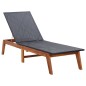 vidaXL Tumbona de ratán sintético y madera maciza de acacia vidaXL Tumbona de ratán sintético y madera maciza de acacia