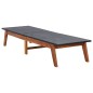vidaXL Tumbona de ratán sintético y madera maciza de acacia vidaXL Tumbona de ratán sintético y madera maciza de acacia