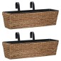 vidaXL Conjunto de jardineras 2 unidades jacinto de agua  