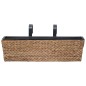 vidaXL Conjunto de jardineras 2 unidades jacinto de agua  