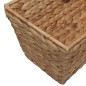 vidaXL Conjunto de jardineras 2 unidades jacinto de agua  