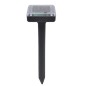 Solar 4 x Exterminator De Rata Solar 4 x Exterminator De Rata