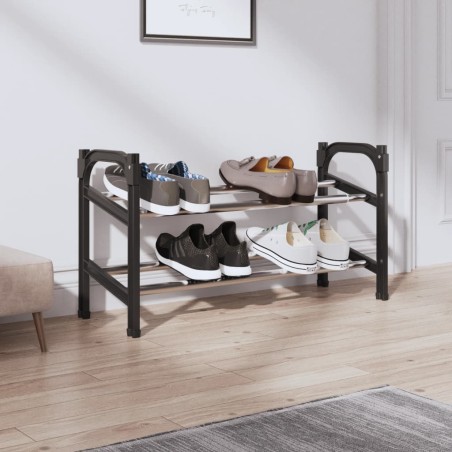 vidaXL Zapatero extensible con dos estantes 119x24x37 cm