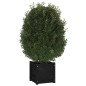 vidaXL Jardinera de madera maciza de pino negro 40x40x40 cm vidaXL Jardinera de madera maciza de pino negro 40x40x40 cm