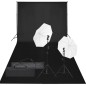 vidaXL Kit de estudio fotográfico con set de luces y fondo vidaXL Kit de estudio fotográfico con set de luces y fondo