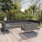 vidaXL Set de muebles de jardín 12 pzas y cojines ratán sintético gris vidaXL Set de muebles de jardín 12 pzas y cojines ratán sintético gris