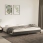 vidaXL Estructura de cama de terciopelo gris oscuro 180x200 cm vidaXL Estructura de cama de terciopelo gris oscuro 180x200 cm