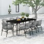 vidaXL Juego de comedor de jardín 9 piezas ratán sintético gris vidaXL Juego de comedor de jardín 9 piezas ratán sintético gris
