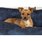 Scruffs & Tramps Cama para perros Kensington azul marino M 60x50 cm Scruffs & Tramps Cama para perros Kensington azul marino M 60x50 cm