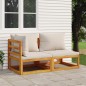 vidaXL Sofás de jardín 2 pzas con cojines madera maciza acacia vidaXL Sofás de jardín 2 pzas con cojines madera maciza acacia