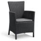 Keter Silla de comedor de jardín Iowa grafito 215526 Keter Silla de comedor de jardín Iowa grafito 215526