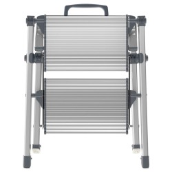 Hailo Escalera con 2 peldaños Mini Comfort 45 cm aluminio 4310-100