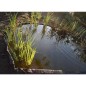 Nature Bordura de jardín negro 14 cm x 10 m 7mm Nature Bordura de jardín negro 14 cm x 10 m 7mm