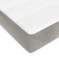 vidaXL Cama box spring con colchón terciopelo gris claro 160x200 cm vidaXL Cama box spring con colchón terciopelo gris claro 160x200 cm