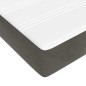 vidaXL Cama box spring con colchón terciopelo gris oscuro 180x200 cm vidaXL Cama box spring con colchón terciopelo gris oscuro 180x200 cm