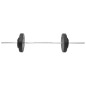 vidaXL Juego de barras y mancuernas con discos 60 kg vidaXL Juego de barras y mancuernas con discos 60 kg