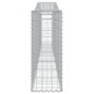 vidaXL Cestas de gaviones 2 uds forma de arco hierro 400x30x80/100 cm vidaXL Cestas de gaviones 2 uds forma de arco hierro 400x30x80/100 cm