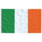 vidaXL Mástil y bandera de Irlanda aluminio 6,23 m vidaXL Mástil y bandera de Irlanda aluminio 6,23 m