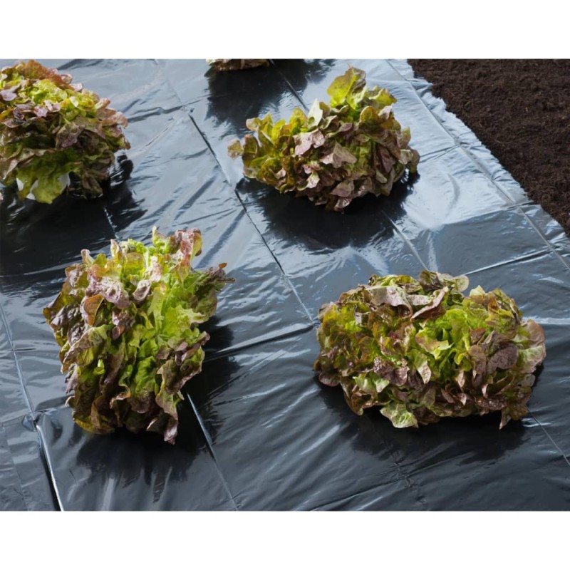 Nature Lona de suelo negra 4x6 m 150µ Nature Lona de suelo negra 4x6 m 150µ