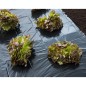 Nature Lona de suelo negra 4x6 m 150µ Nature Lona de suelo negra 4x6 m 150µ
