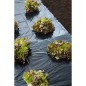 Nature Lona de suelo negra 4x6 m 150µ Nature Lona de suelo negra 4x6 m 150µ