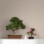 Noordwand Papel pintado Botanica Linnen Look beige oscuro y arena