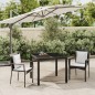 vidaXL Set comedor de jardín 3 pzas con cojines ratán sintético negro vidaXL Set comedor de jardín 3 pzas con cojines ratán sintético negro